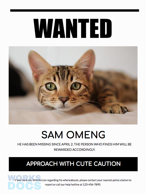 Missing cat poster template landscape